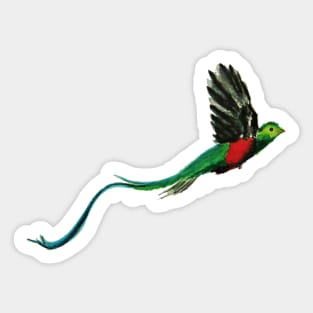 Costa Rica Quetzal Watercolor Sticker